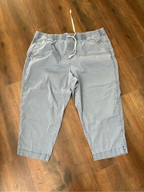 EUC Lane Bryant pants 28 Pants Light Blue Chinos Khakis Straight Leg Stretch